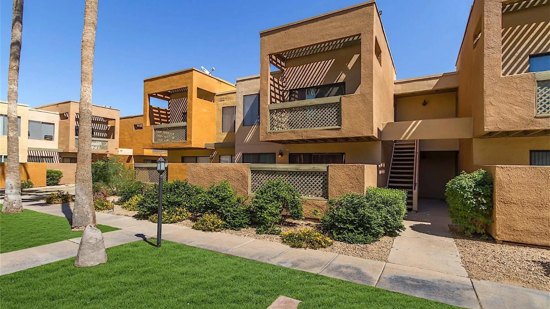 Endless Summer Scottsdale